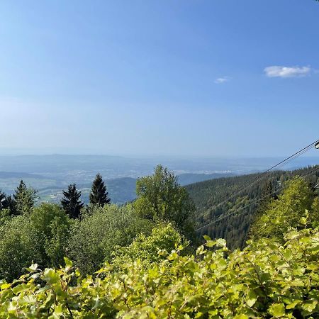 Neue Ferienwohnung Mit Whirlpool Und Sauna In Der Residenz Grafenmatt Inklusive Hochschwarzwaldcard 费尔德伯格 外观 照片