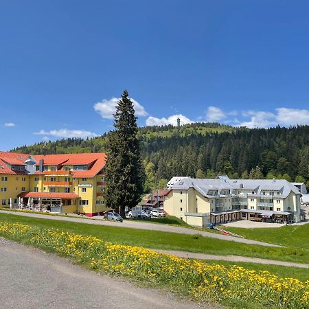 Neue Ferienwohnung Mit Whirlpool Und Sauna In Der Residenz Grafenmatt Inklusive Hochschwarzwaldcard 费尔德伯格 外观 照片